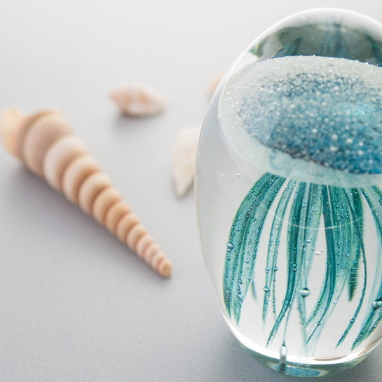 leonardo-oceano-objet-d-co-m-duse-10-cm-turquoise image 2
