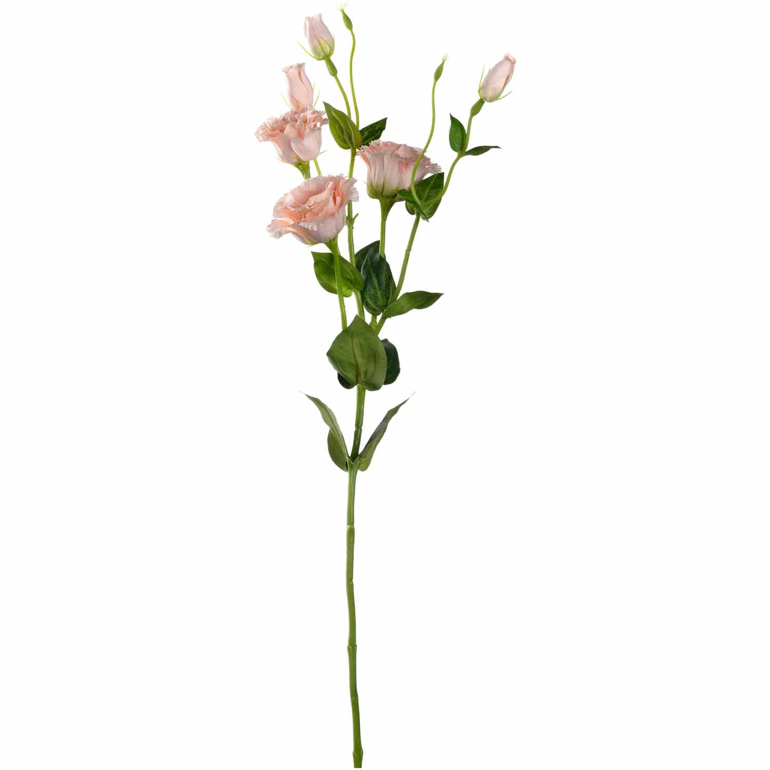 leonardo-fiore-lysianthus-artificiel-78-cm-abricot image 1