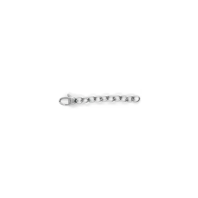 leonardo-rallonge-cha-ne-5-cm-argent-cha-ne-extension image 1