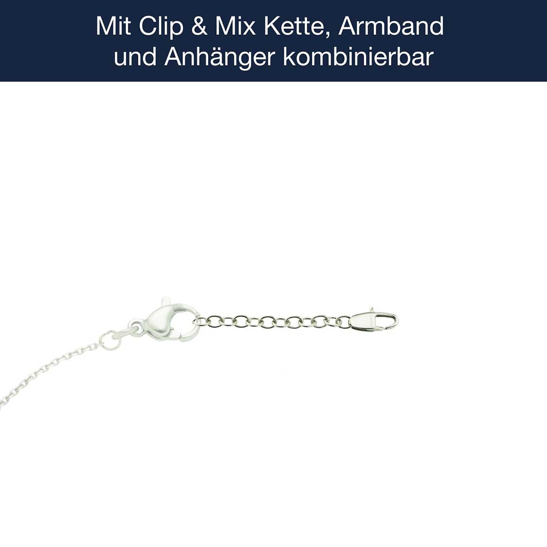leonardo-rallonge-cha-ne-5-cm-argent-cha-ne-extension image 3