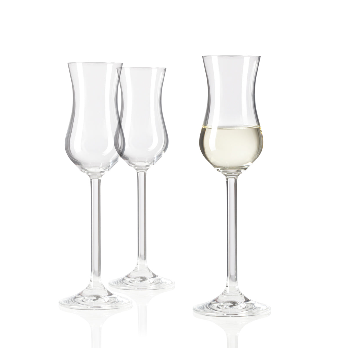 leonardo-daily-verre-grappa-100-ml-lot-de-6-digestif image 6