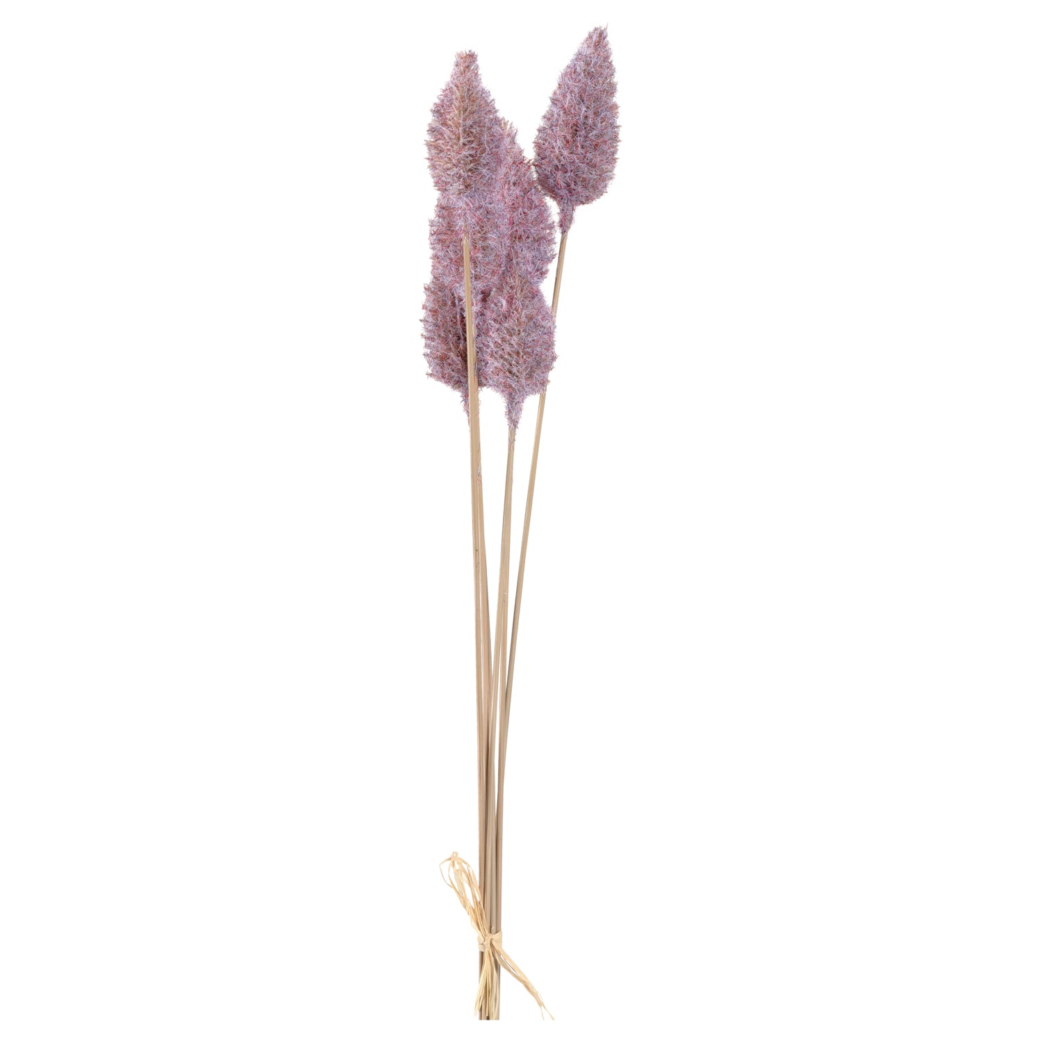 leonardo-vernazza-fleurs-chardon-violet-65-cm-lot-6 image 1