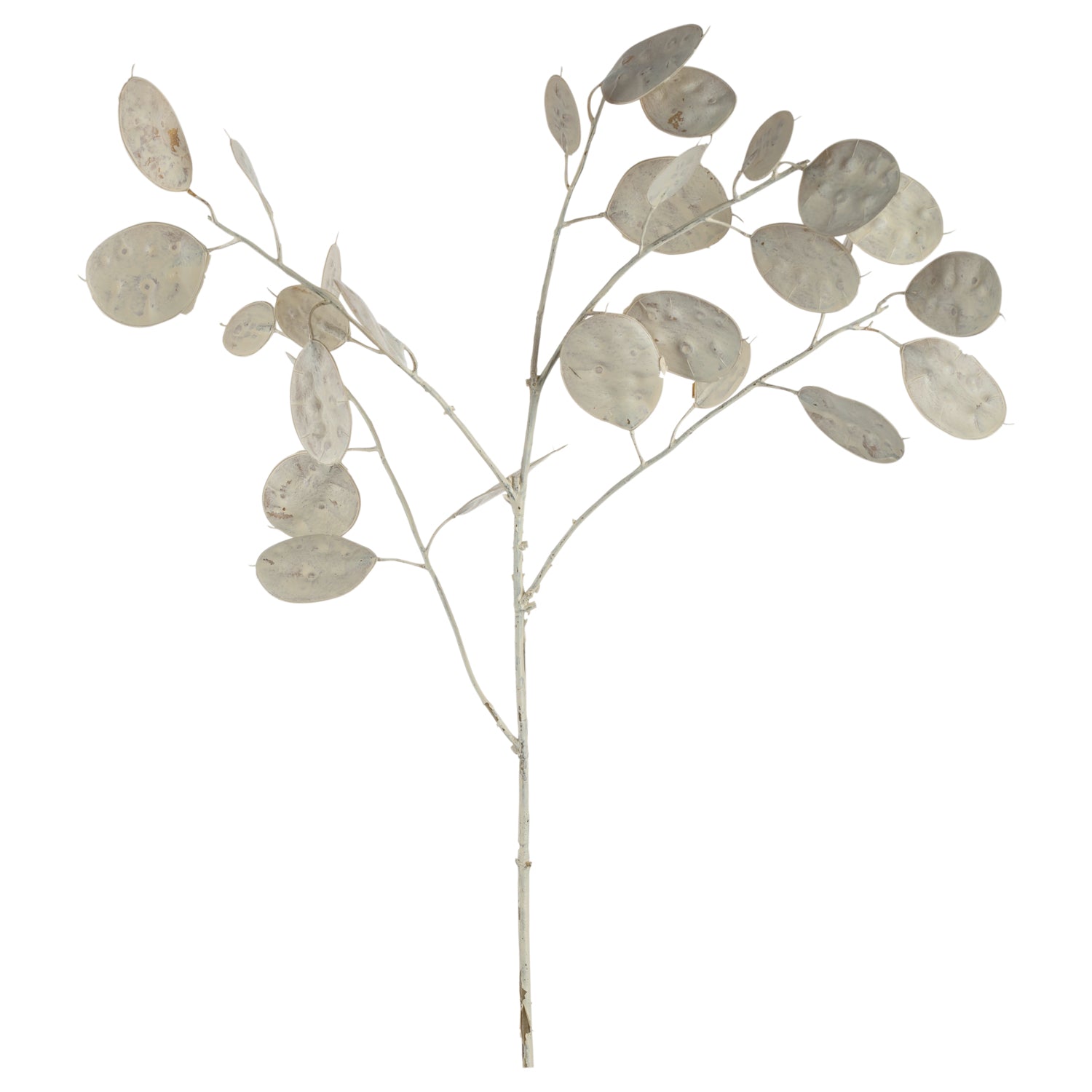 leonardo-poesia-fleur-artificielle-blanche-86-cm-eucalyptus image 1