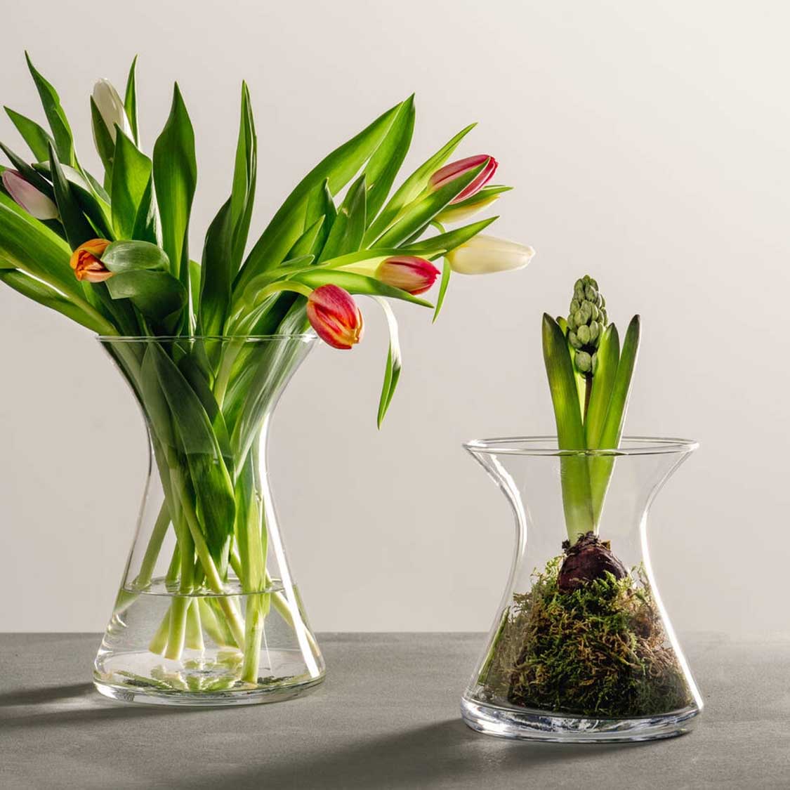 leonardo-gia-vase-verre-transparent-16-cm image 7