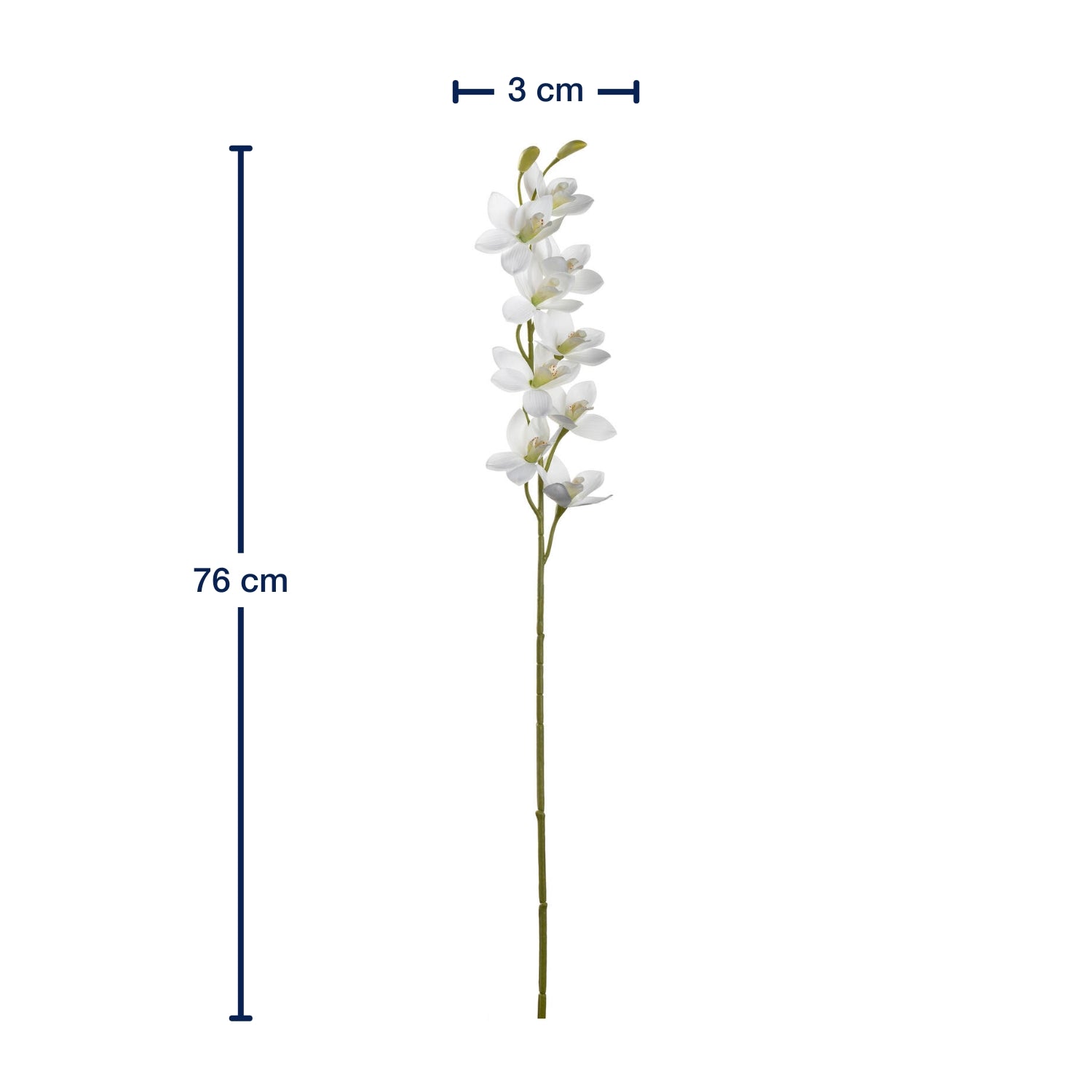 leonardo-fiore-orchid-e-76-cm-fleur-blanche image 2