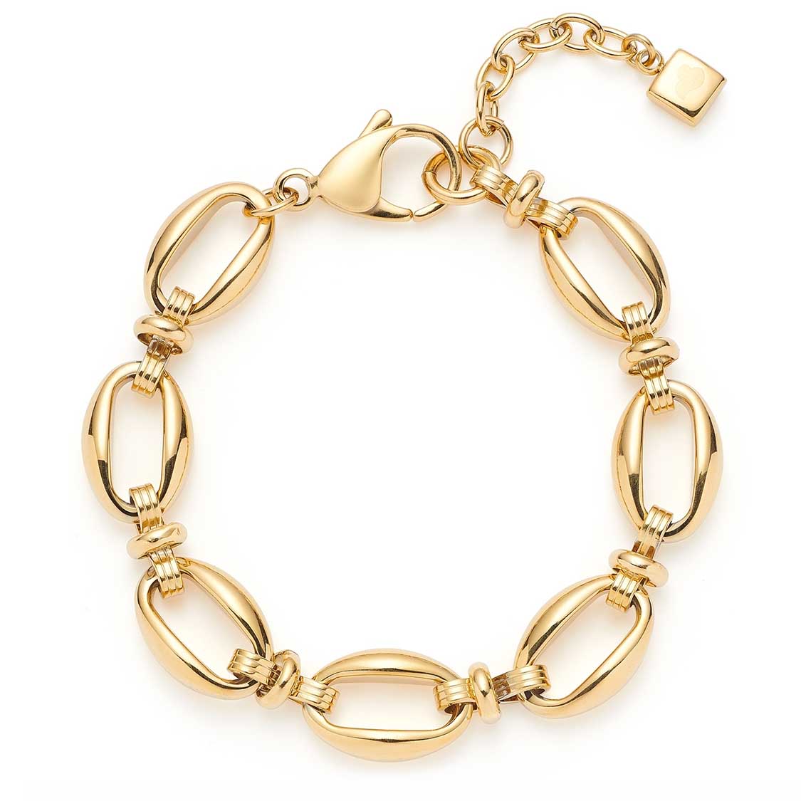 leonardo-andrea-bracelet-maille-ovale-dor-acier image 1