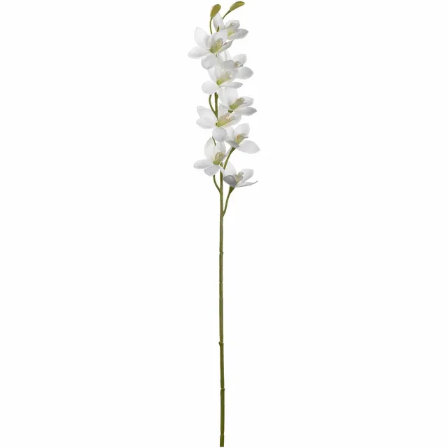 leonardo-fiore-orchid-e-76-cm-fleur-blanche image 1