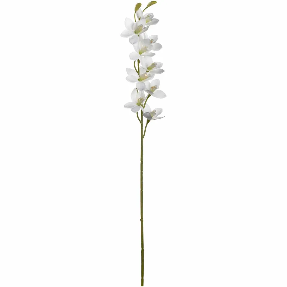 leonardo-fiore-orchid-e-76-cm-fleur-blanche image 1