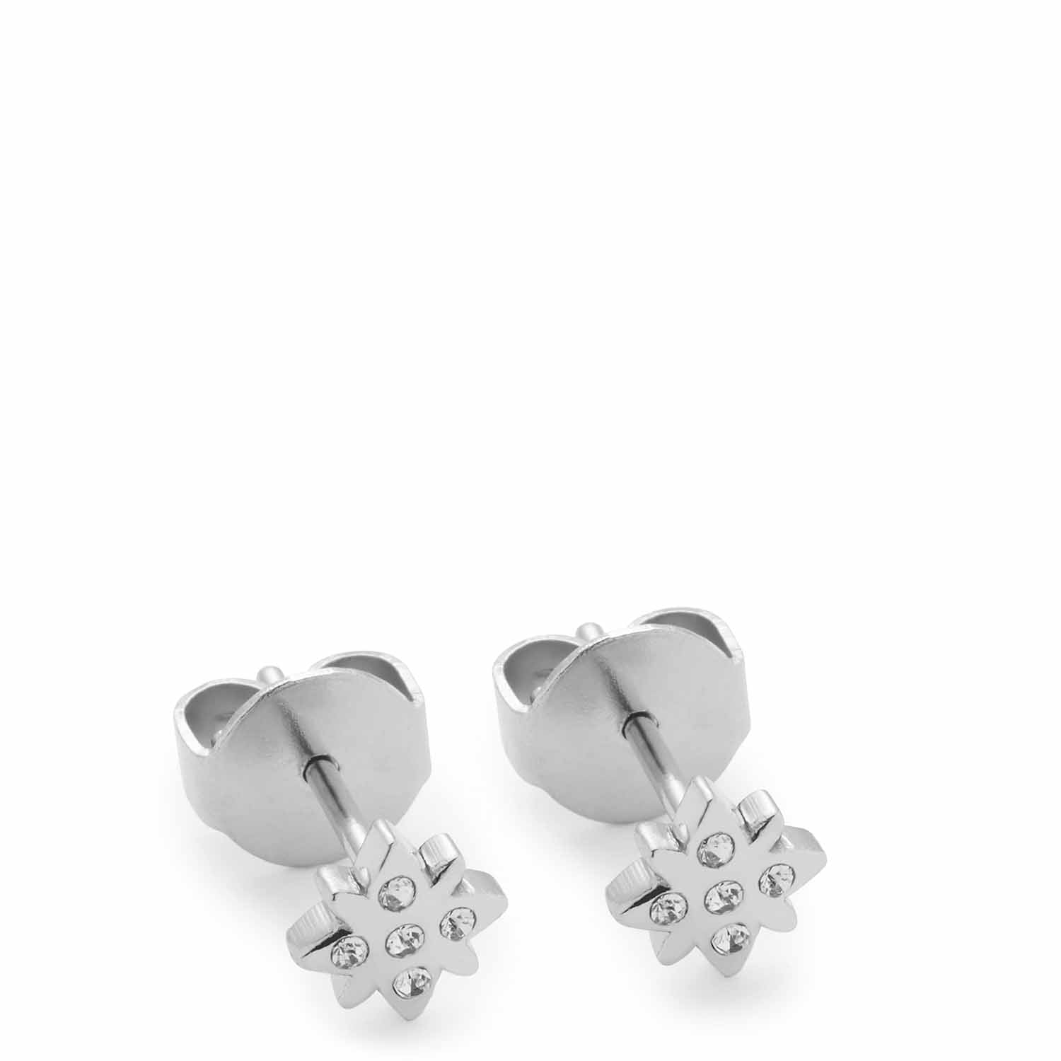 leonardo-campagnola-clous-argent-ciao-toile image 2