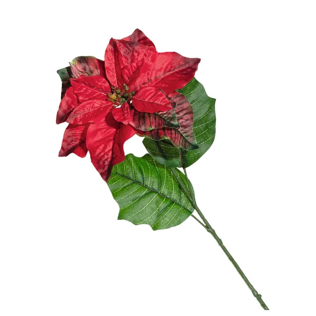 leonardo-caldo-fleur-poinsettia-rouge-70-cm image 1