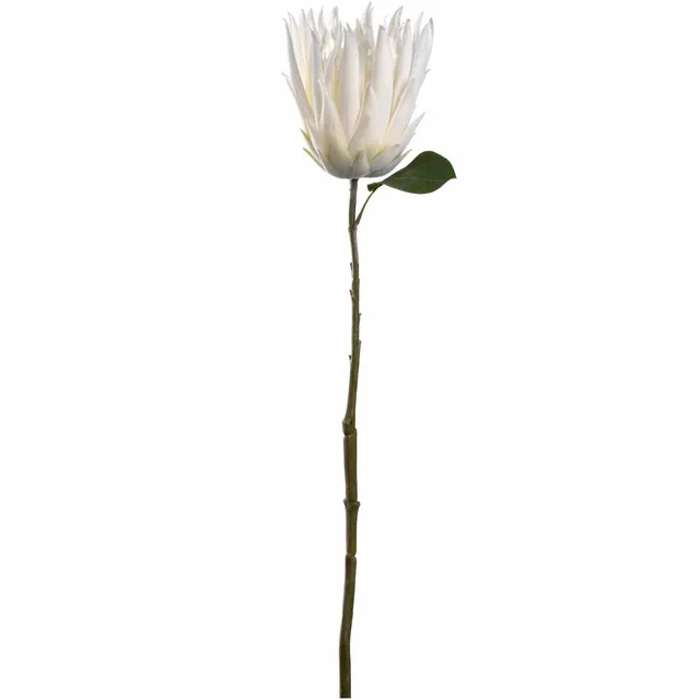 leonardo-fiore-prothea-72-cm-fleur-blanche image 1