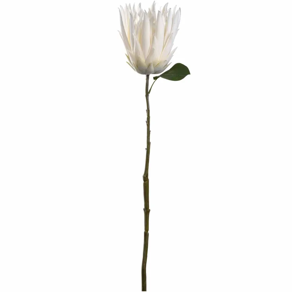 leonardo-fiore-prothea-72-cm-fleur-blanche image 1