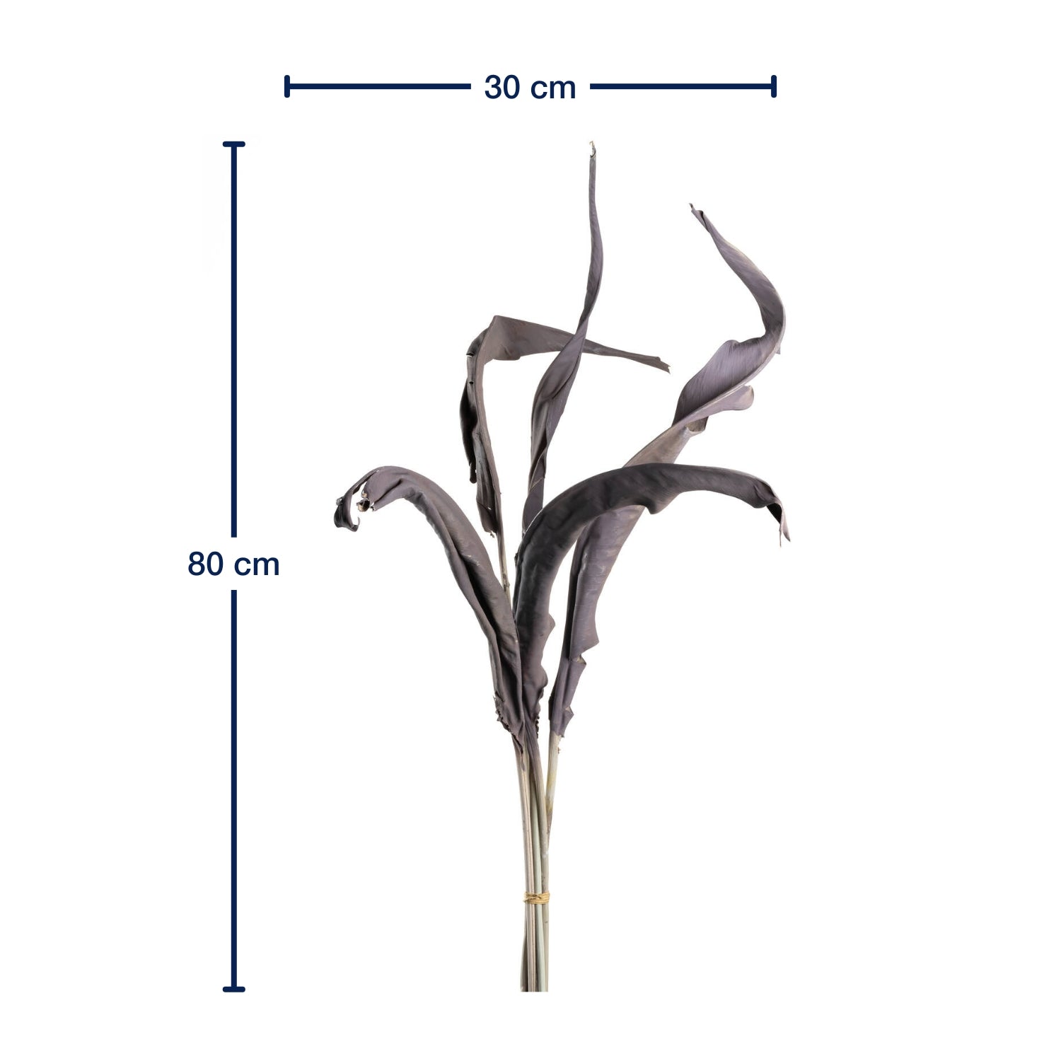 leonardo-fiore-feuilles-strelitzia-artificielles-taupe-80-cm-lot-5 image 2