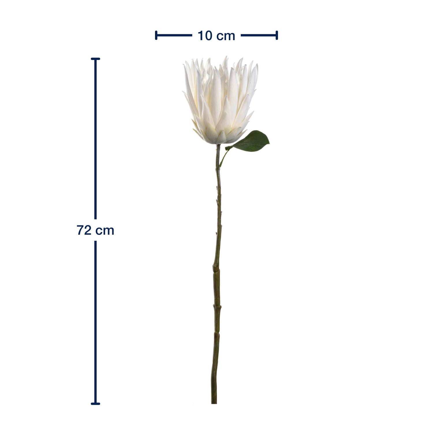 leonardo-fiore-prothea-72-cm-fleur-blanche image 2