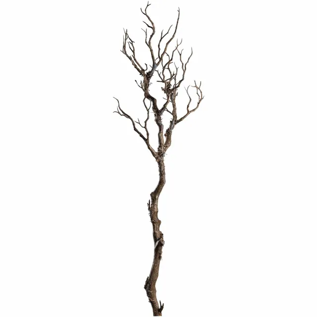 leonardo-fiore-branche-artificielle-76-cm-marron image 1