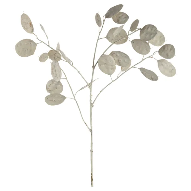 leonardo-poesia-fleur-artificielle-blanche-86-cm-eucalyptus image 1