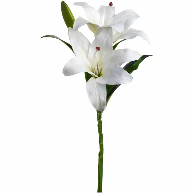 leonardo-fiore-lys-fleur-artificielle-blanc-38-cm image 1