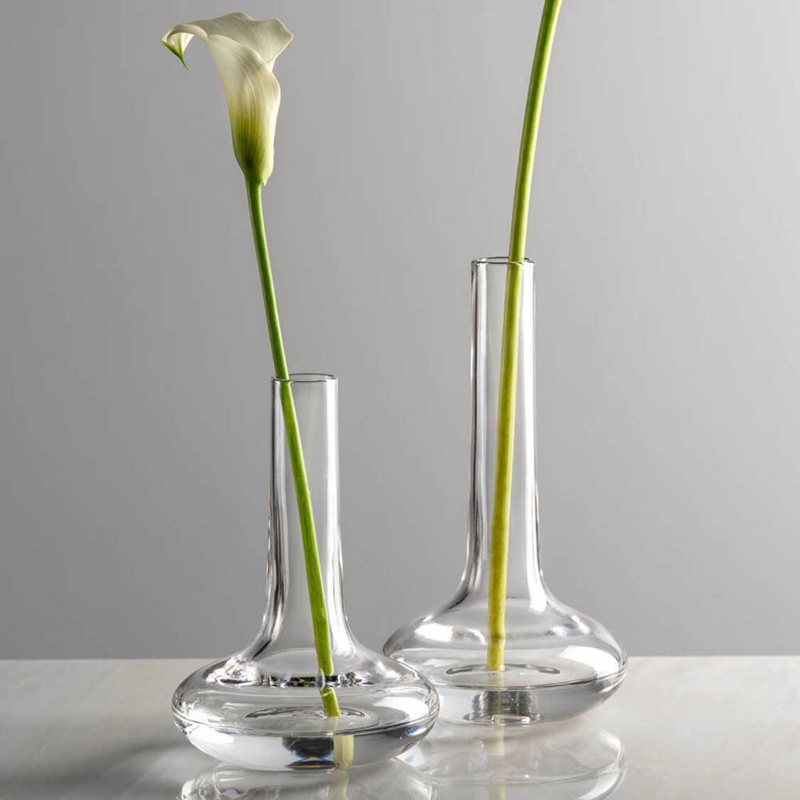 leonardo-aria-soliflore-20-cm-transparent image 6