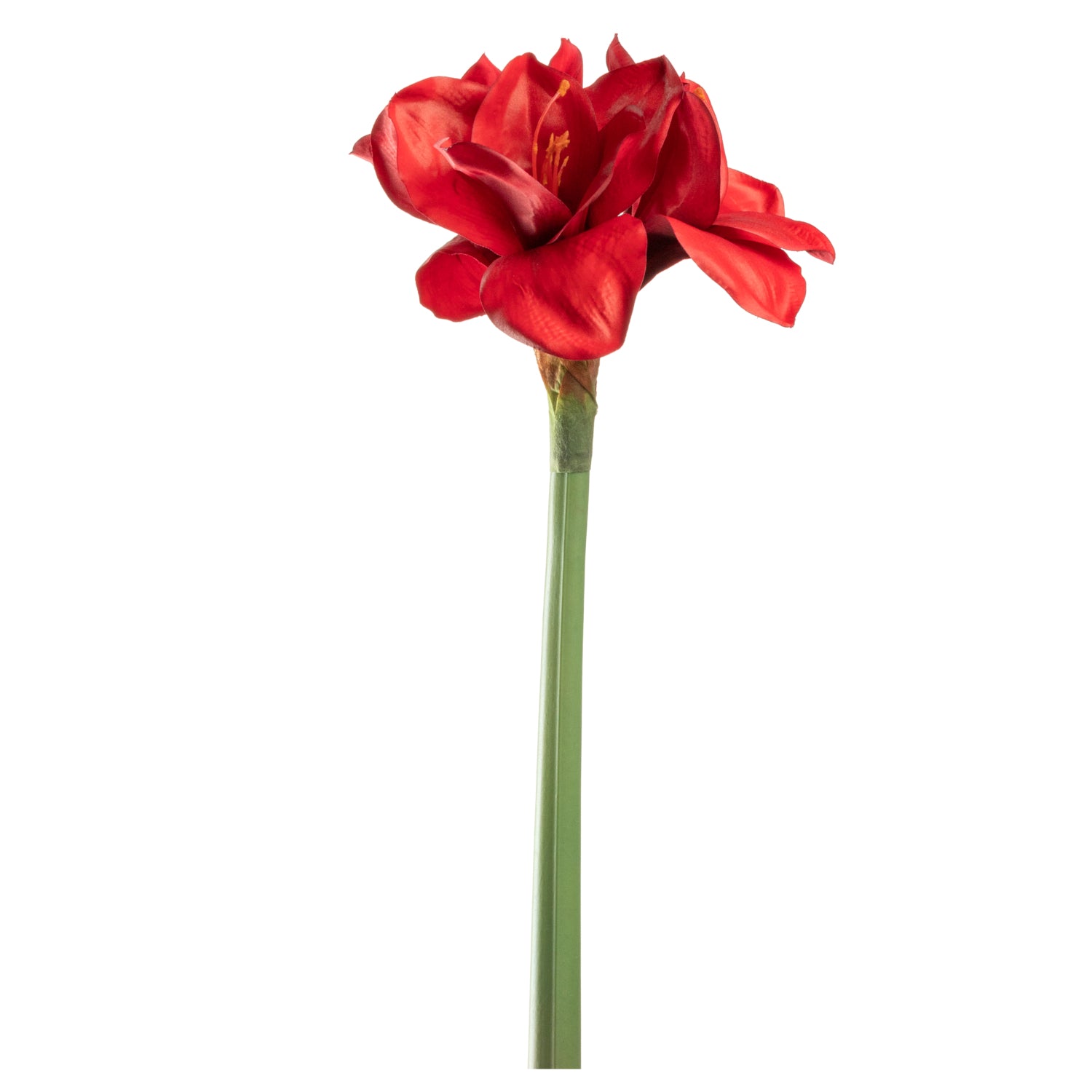 leonardo-amaryllis-fleur-artificielle-rouge-55-cm-no-l image 1