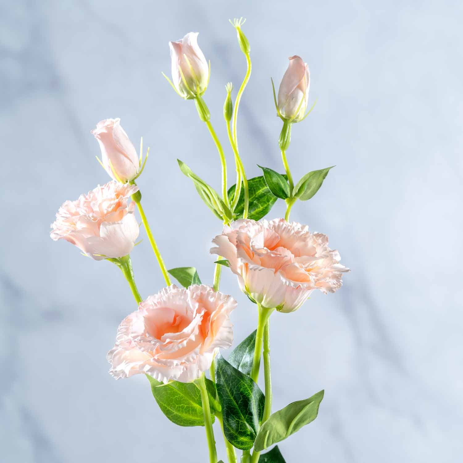 leonardo-fiore-lysianthus-artificiel-78-cm-abricot image 3
