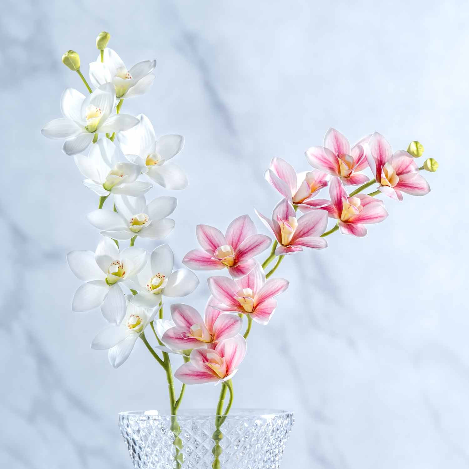 leonardo-fiore-orchid-e-76-cm-fleur-blanche image 5