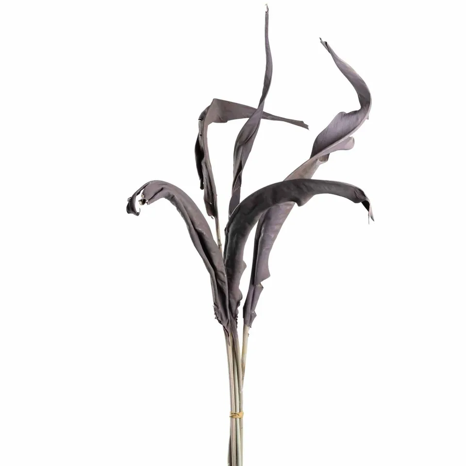 leonardo-fiore-feuilles-strelitzia-artificielles-taupe-80-cm-lot-5 image 1