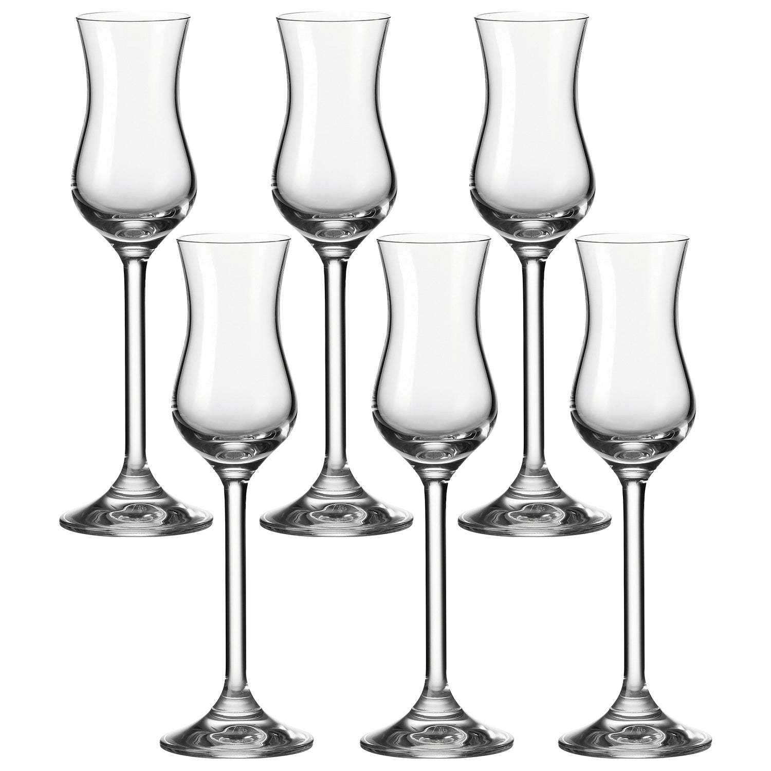 leonardo-daily-verre-grappa-100-ml-lot-de-6-digestif image 1