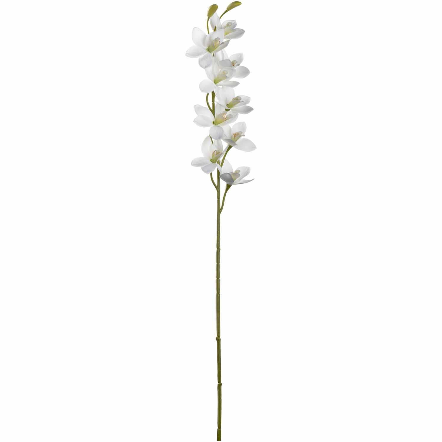 leonardo-fiore-orchid-e-76-cm-fleur-blanche image 1