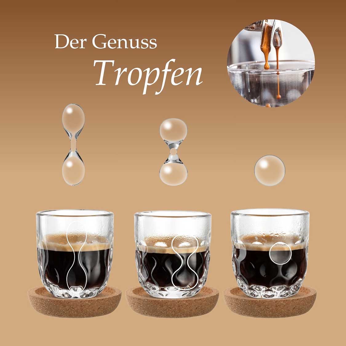 leonardo-gocce-verres-espresso-6-pi-ces-avec-li-ge image 5