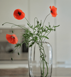 krosno-ballerina-vase-c-lestine-40-cm-stri-gemstone image 4