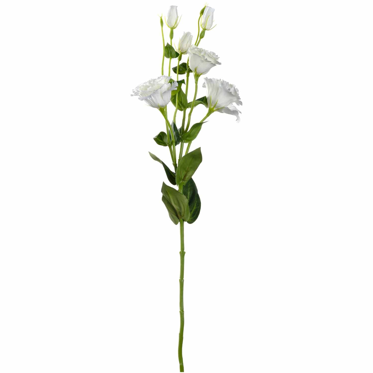 leonardo-fiore-lisianthus-artificiel-blanc-78-cm image 1
