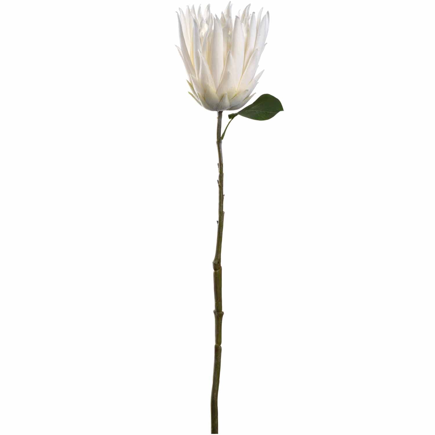 leonardo-fiore-prothea-72-cm-fleur-blanche image 1
