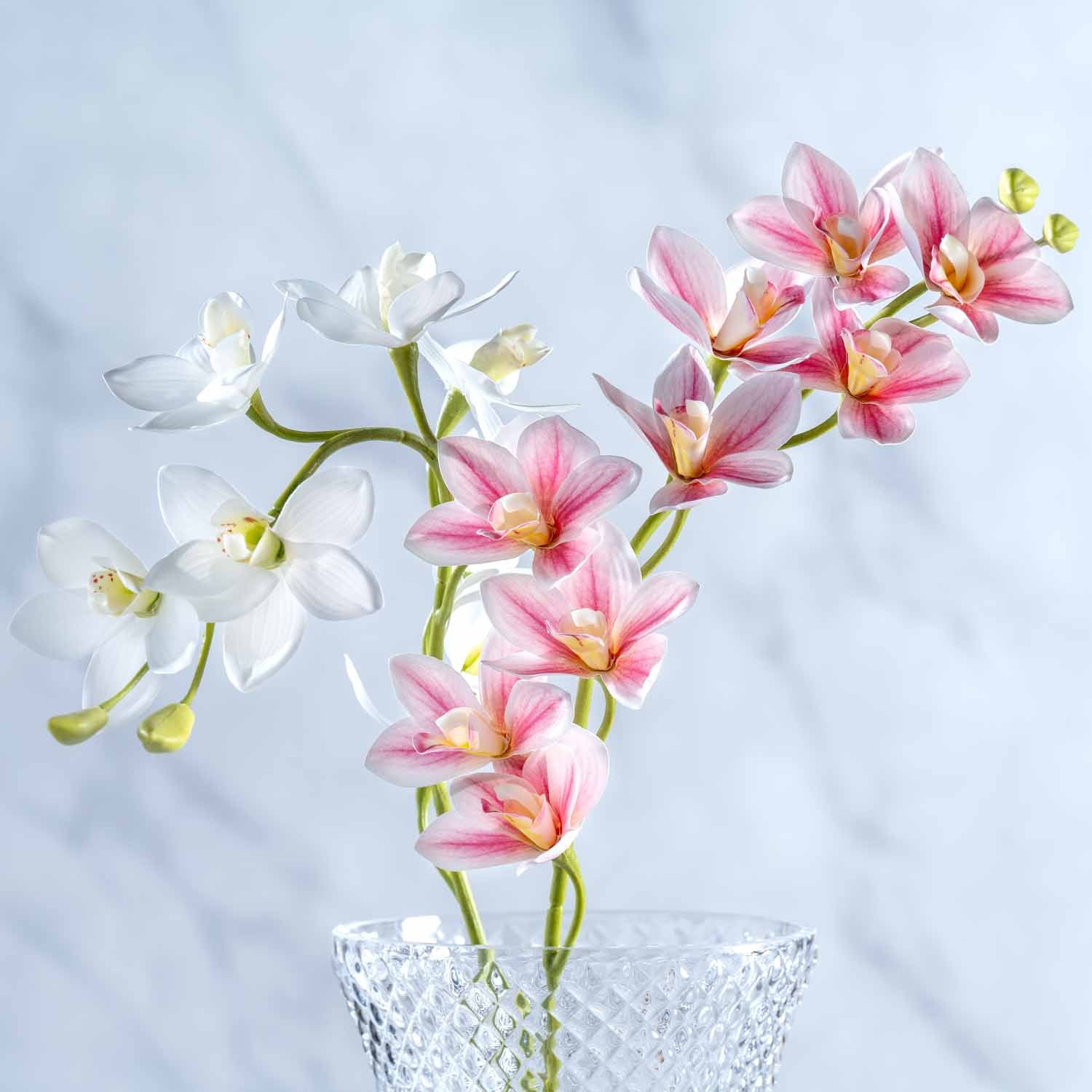 leonardo-fiore-orchid-e-76-cm-fleur-blanche image 3