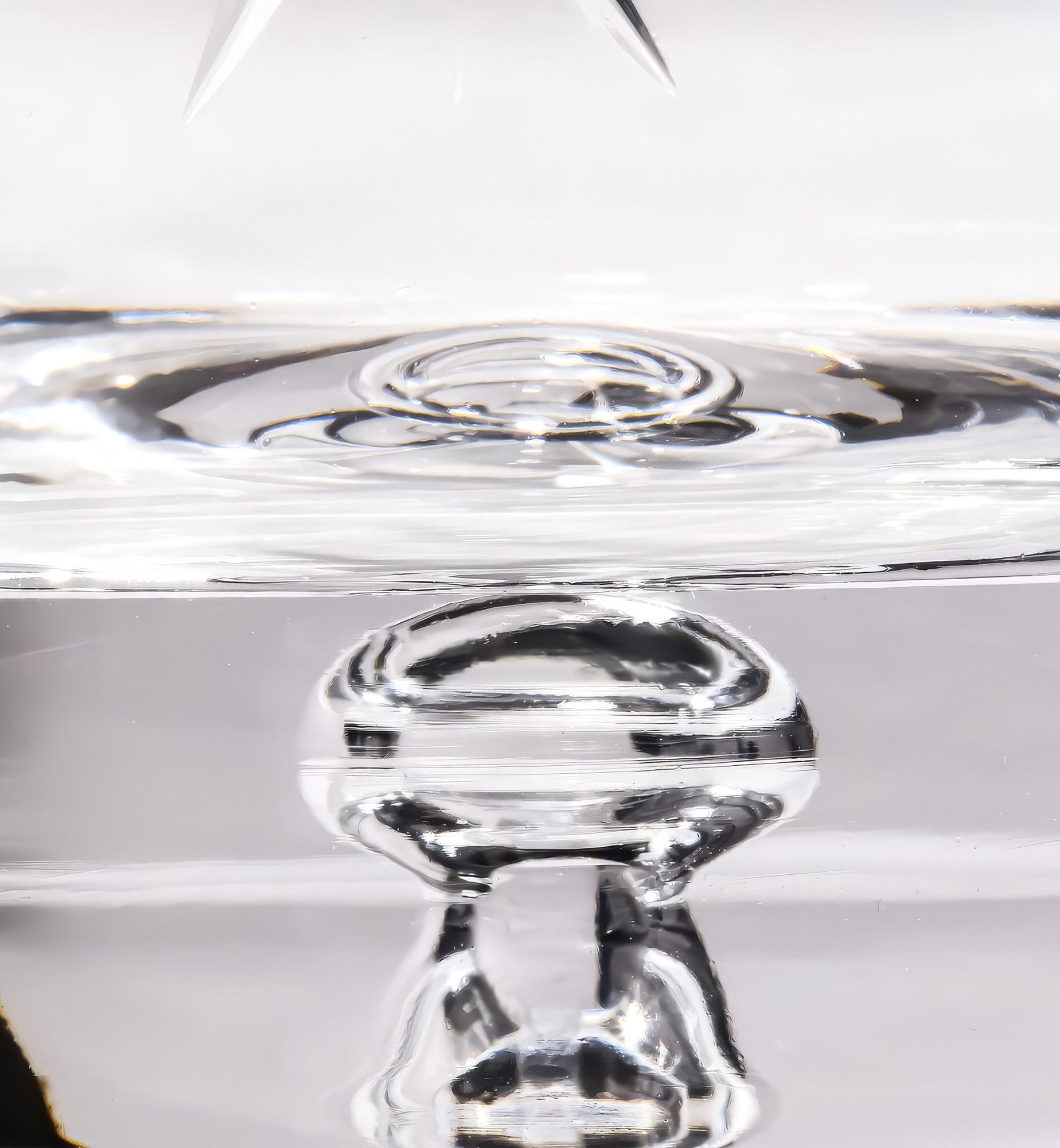 krosno-saga-tumbler-royal-cut-verre-whisky-310-ml image 2