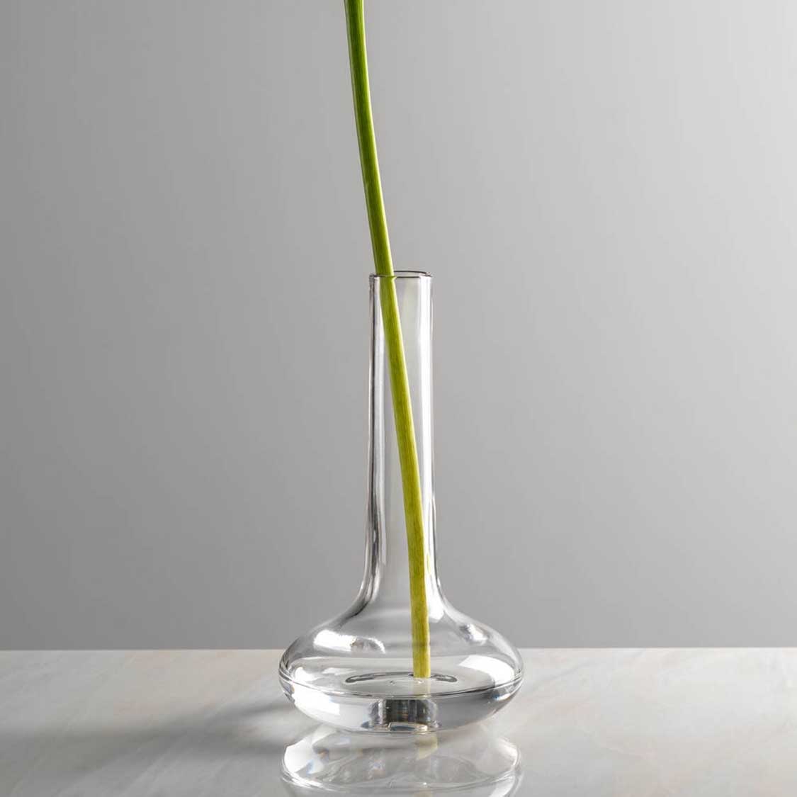 leonardo-aria-soliflore-20-cm-transparent image 5